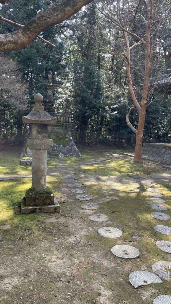 東光寺本殿裏山
